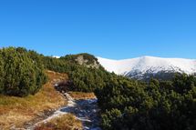 title=""