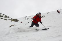 title=""